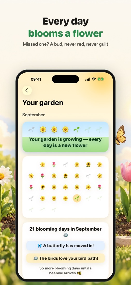 Daisy: every day blooms a flower